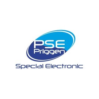 Analogue Output, Option for PE-SVM2 with the New Instrument