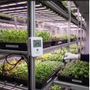 NODE, WLAN- Temperatur- und Luftfeuchte- Sensor